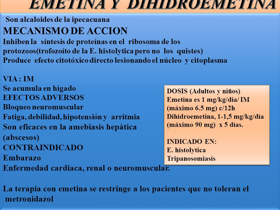 quistes de blastocystis hominis en el embarazo